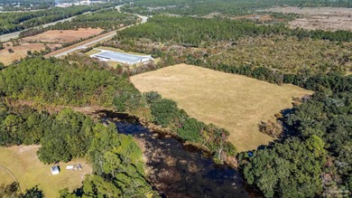 19.36 Acres in Milton. Zoned AG-RR. 0.5 miles from I-10 w/ 430ft - photo 21
