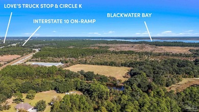 19.36 Acres in Milton. Zoned AG-RR. 0.5 miles from I-10 w/ 430ft - photo 22