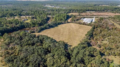 19.36 Acres in Milton. Zoned AG-RR. 0.5 miles from I-10 w/ 430ft - photo 23
