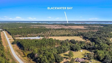 19.36 Acres in Milton. Zoned AG-RR. 0.5 miles from I-10 w/ 430ft - photo 24