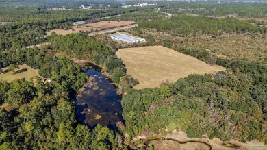 19.36 Acres in Milton. Zoned AG-RR. 0.5 miles from I-10 w/ 430ft - photo 25