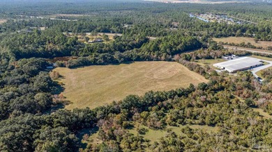 19.36 Acres in Milton. Zoned AG-RR. 0.5 miles from I-10 w/ 430ft - photo 27