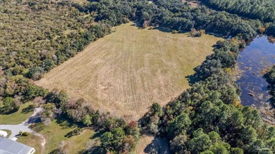 19.36 Acres in Milton. Zoned AG-RR. 0.5 miles from I-10 w/ 430ft - photo 29