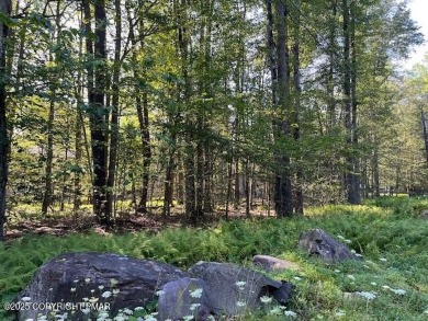 Lake Lot Sale Pending in Pocono Pines, Pennsylvania