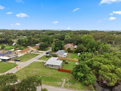 PRICE DROP ALERT!  Your dream home may now fit your budget!! - photo 41