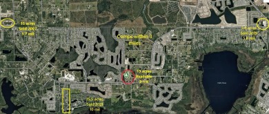 East Lake Tohopekaliga Acreage For Sale in Kissimmee Florida