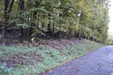 Lake Lot For Sale in Eddyville, Kentucky