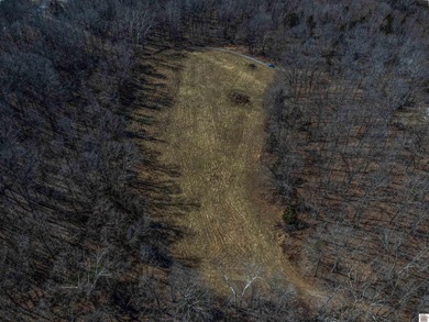 Lake Acreage For Sale in Cadiz, Kentucky