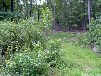 Greers Ferry Lake Lot For Sale in Tumbling Shoals Arkansas