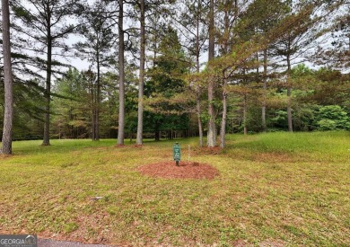 Lake Lot For Sale in Blairsville, Georgia