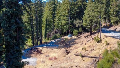 A paved private road winds through majestic redwoods and pines - photo 11
