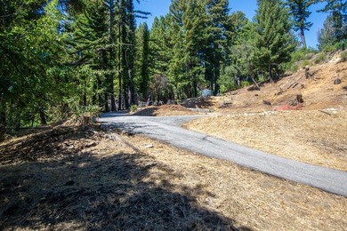 A paved private road winds through majestic redwoods and pines - photo 16
