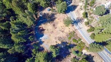 A paved private road winds through majestic redwoods and pines - photo 17