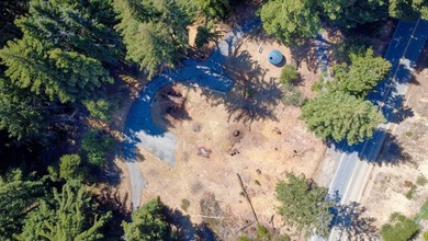 A paved private road winds through majestic redwoods and pines - photo 18