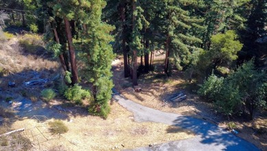 A paved private road winds through majestic redwoods and pines - photo 19