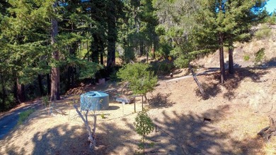 A paved private road winds through majestic redwoods and pines - photo 20