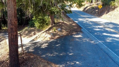 A paved private road winds through majestic redwoods and pines - photo 21