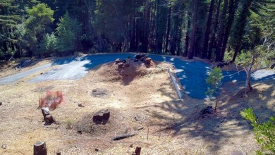 A paved private road winds through majestic redwoods and pines - photo 22