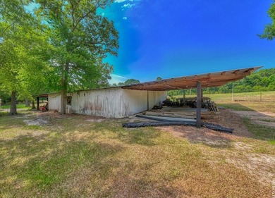 Luxury country living meets East Texas charm on this stunning 14 - photo 22
