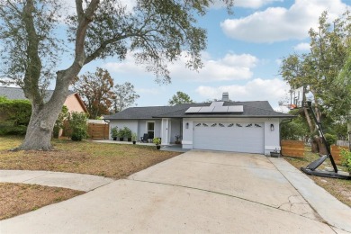 Lake Home Sale Pending in Palm Harbor, Florida