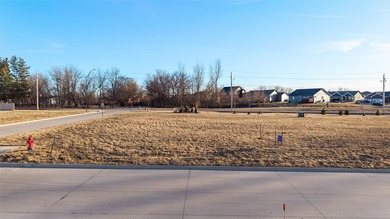 (private lake, pond, creek) Lot For Sale in Grimes Iowa