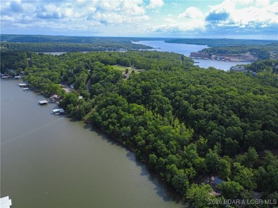 Discover this rare 9+ acre lakefront land 5 minutes from - photo 11