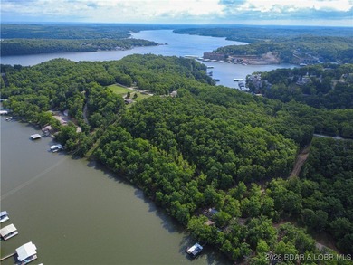 Discover this rare 9+ acre lakefront land 5 minutes from - photo 12