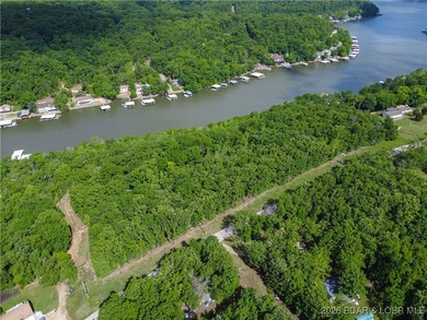 Discover this rare 9+ acre lakefront land 5 minutes from - photo 16