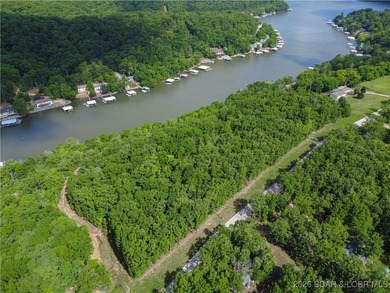 Discover this rare 9+ acre lakefront land 5 minutes from - photo 17