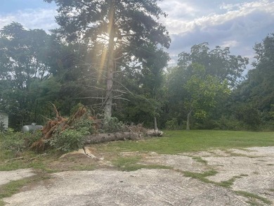 Wooded 3.94 Acre Residential Parcel - Prime Location! Incredible - photo 4