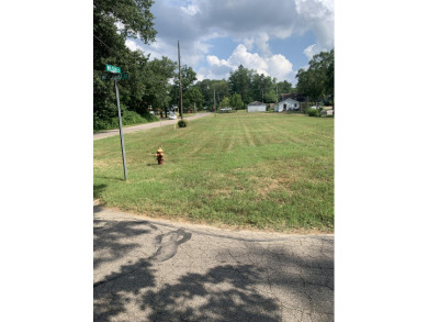 Lake Michigan - Berrien County Lot For Sale in New Buffalo Michigan