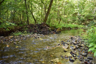 Lake Acreage For Sale in Norman, Arkansas