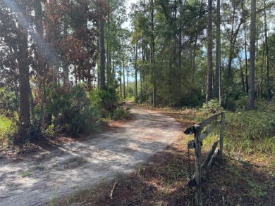 Lake Acreage Sale Pending in Paisley, Florida