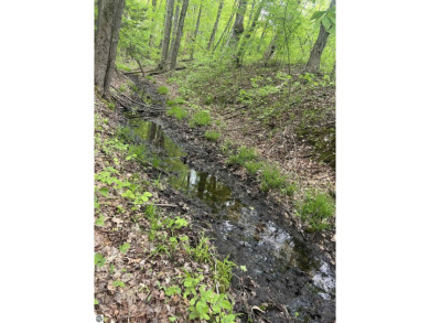 Lake Acreage For Sale in Luther, Michigan