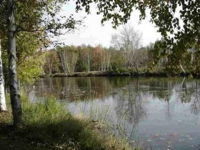 Lake Lot For Sale in Houghton Lake, Michigan