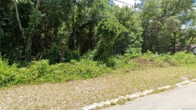 Lake Spivey Lot For Sale in Inverness Florida