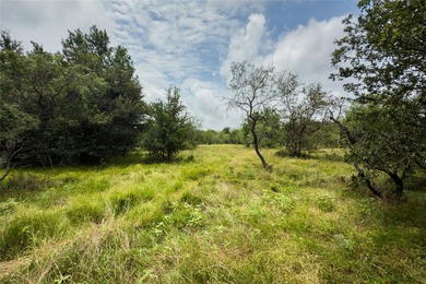 These lots have NO RESTRICTIONS - bring your mobile home, RV, or - photo 11