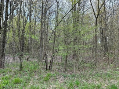 (private lake, pond, creek) Acreage For Sale in Kingsville Ohio