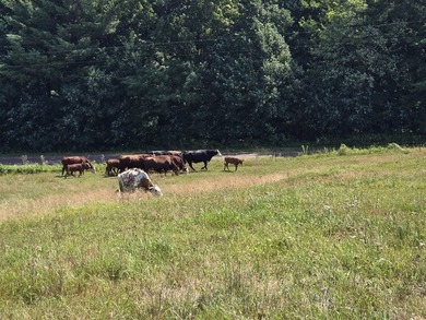 Bring your hobby farm dreams to life on this beautiful 12.5-acre - photo 46