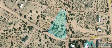 Elephant Butte Reservoir Lot For Sale in Elephant Butte New Mexico