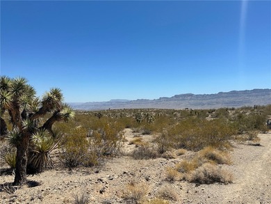 Lake Lot For Sale in Meadview, Arizona