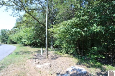 Lot 46 Bayridge Rd - photo 11