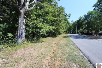 Lot 46 Bayridge Rd - photo 12