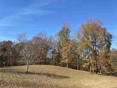 Pickwick Lake Lot For Sale in Bath Springs Tennessee