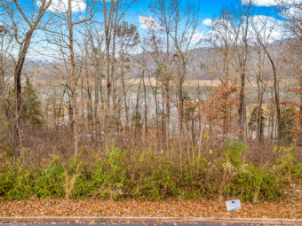 LIQUIDATION SALE Cherokee Lake View Building Lot - Lake Lot For Sale in Rutledge, Tennessee