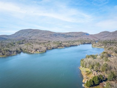 Modern Mountain Charm in Lake Toxaway Estates Experience - photo 43