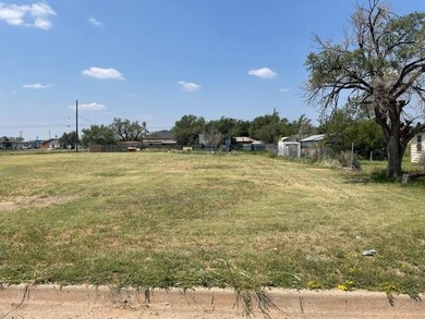 (private lake, pond, creek) Lot For Sale in Amarillo Texas