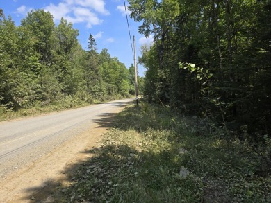 Lake Lot For Sale in Linneus, Maine