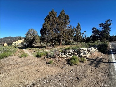 Baldwin Lake - photo 3