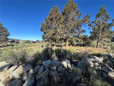 Baldwin Lake - photo 5